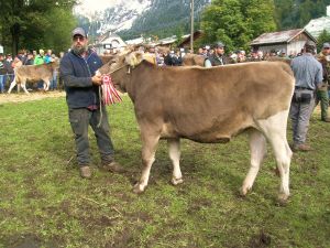 Rinderchampion Rind Planta_ Besitzer Hess Kari_Eyen Engelberg